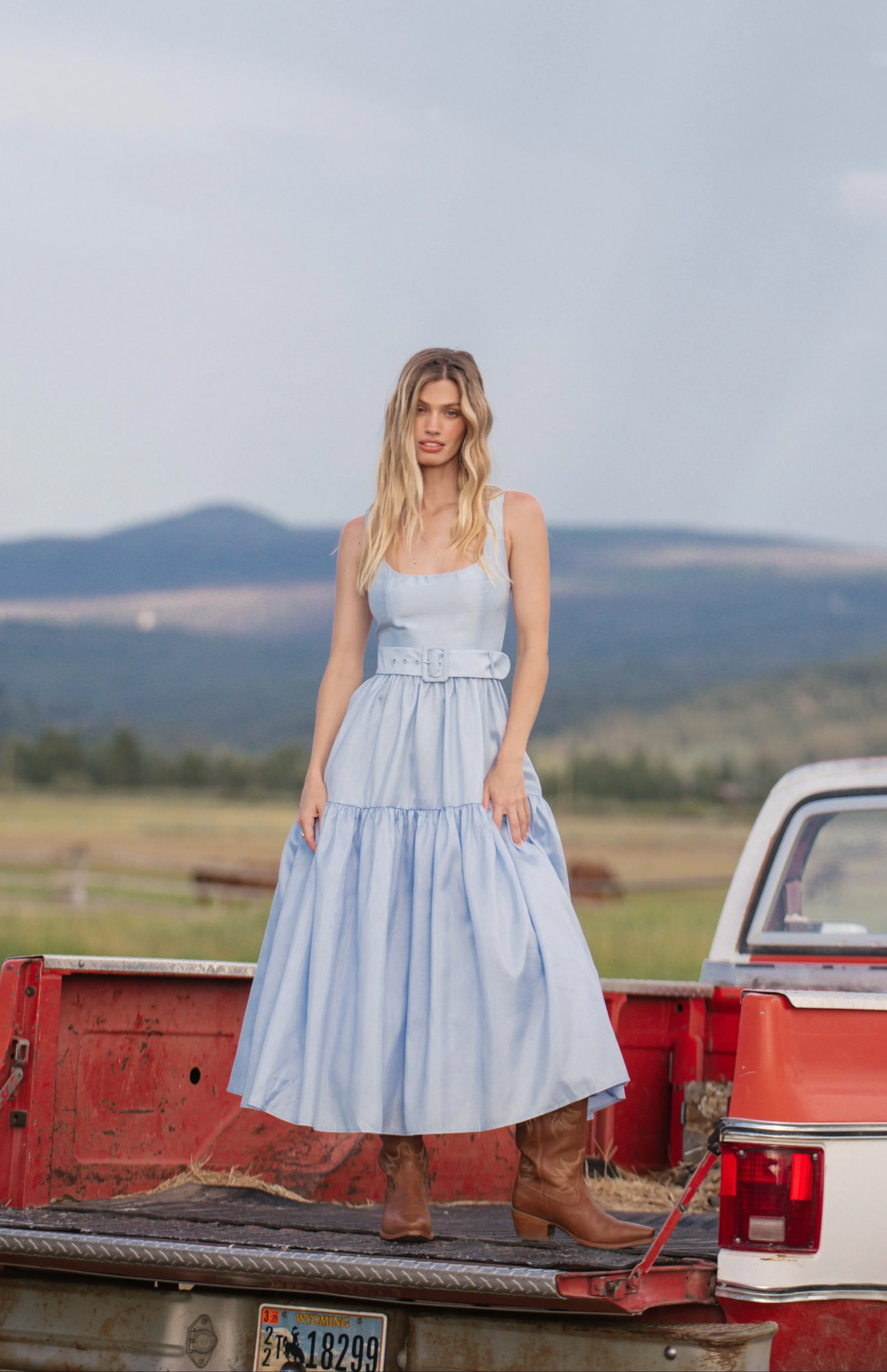 alice dress