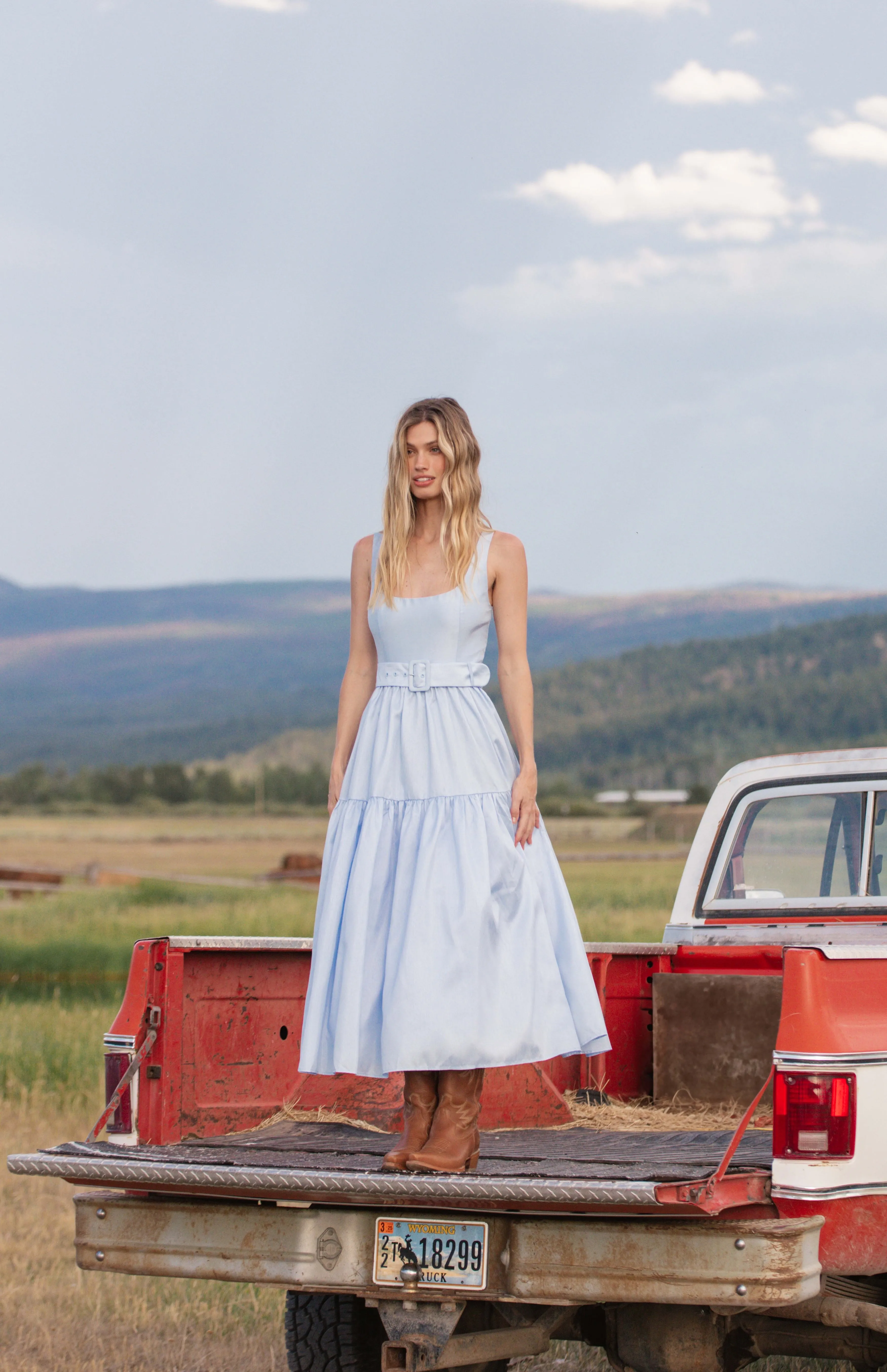 alice dress