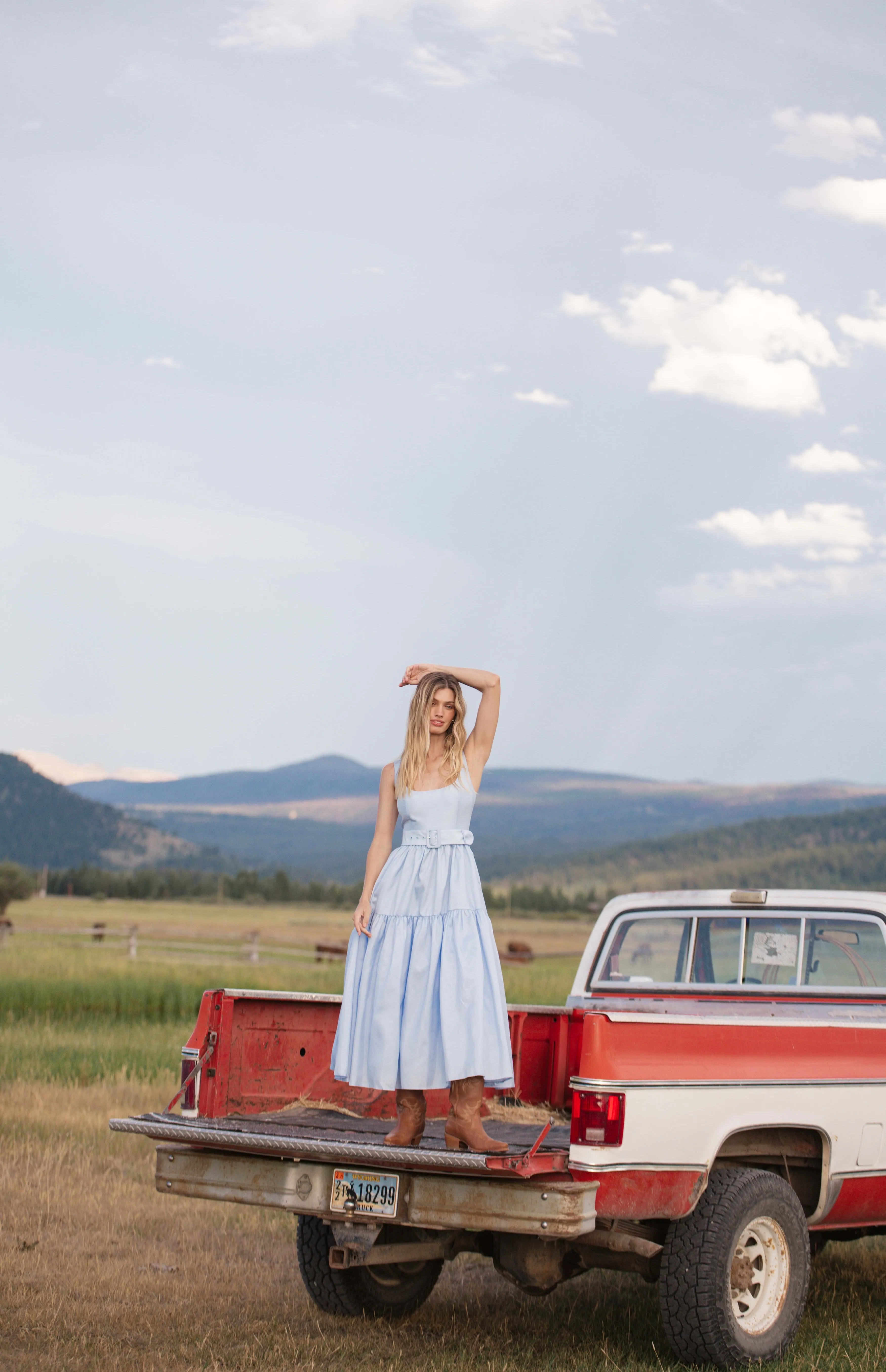 alice dress