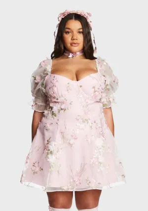 Plus Baby Sweetheart Portrait Mini Dress