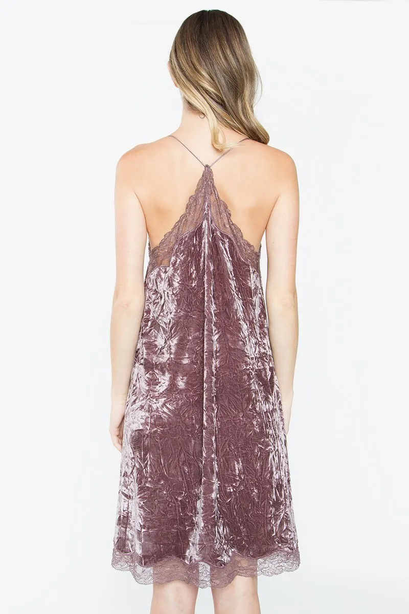 Savina Lace Velvet Dress