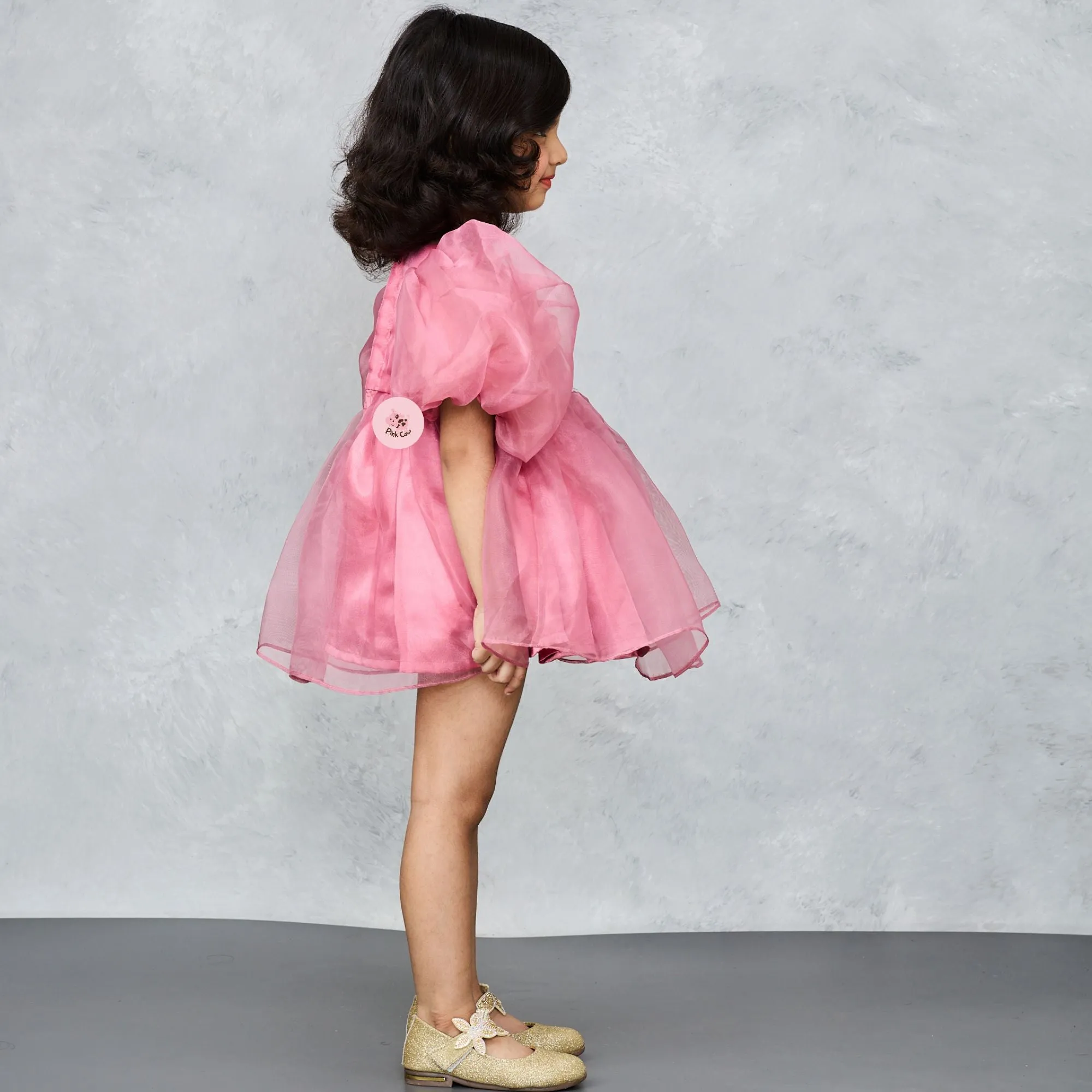 Stylish Pink Organza Dress