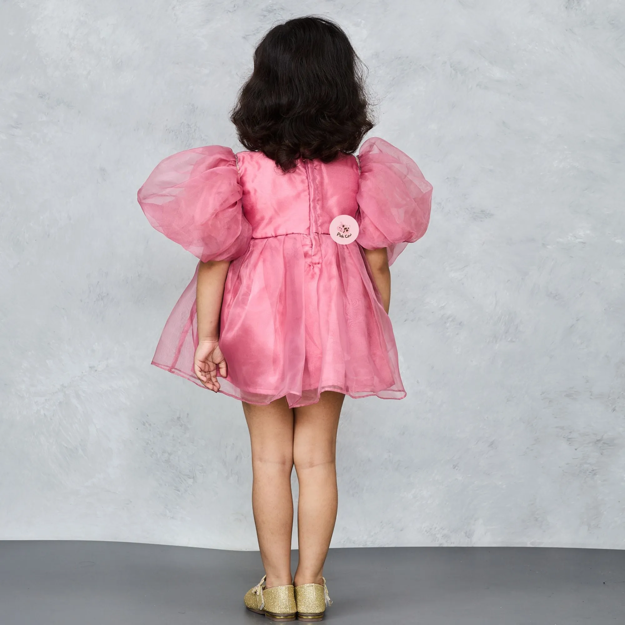 Stylish Pink Organza Dress