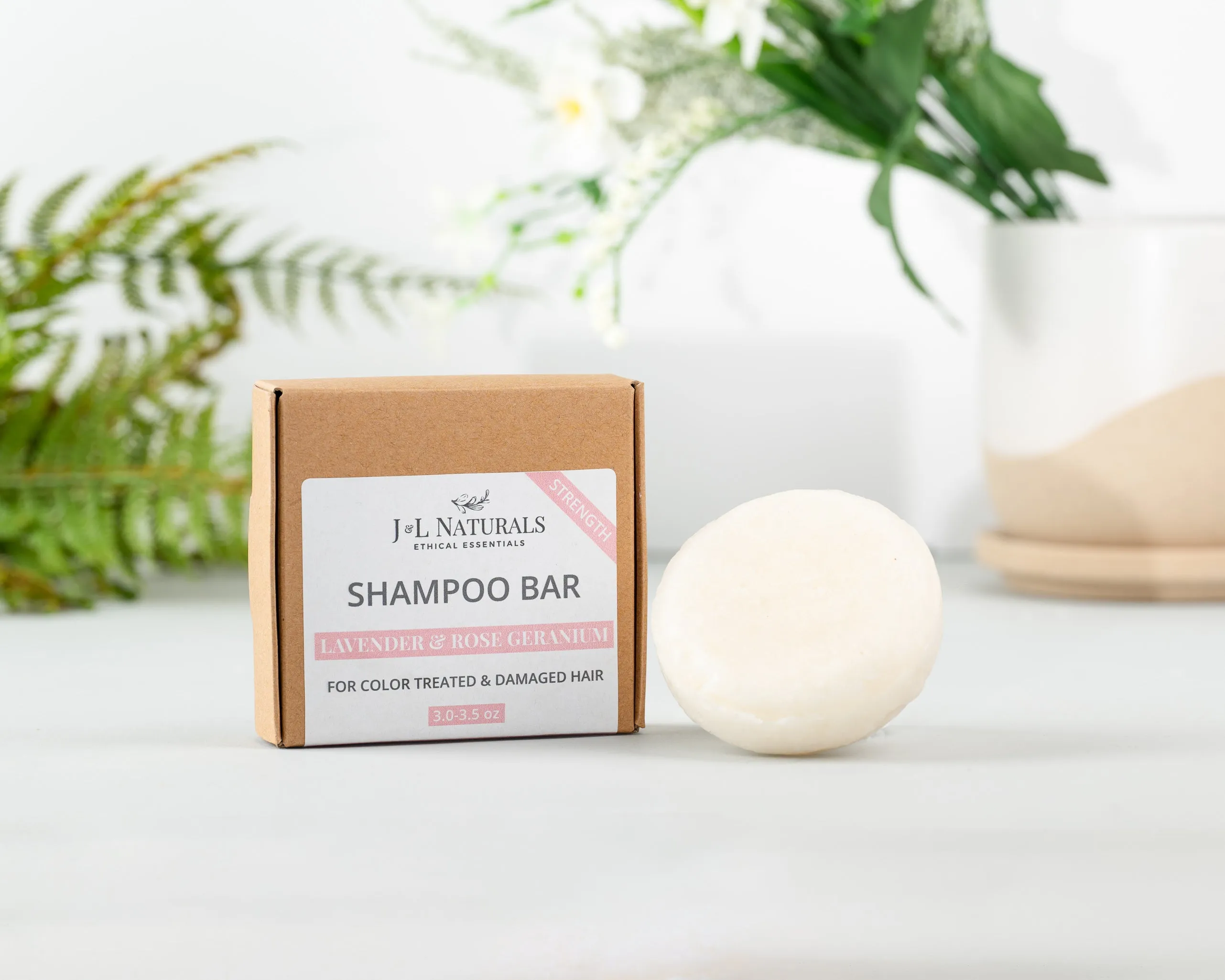Sulfate-Free Shampoo Bar (Bundle)