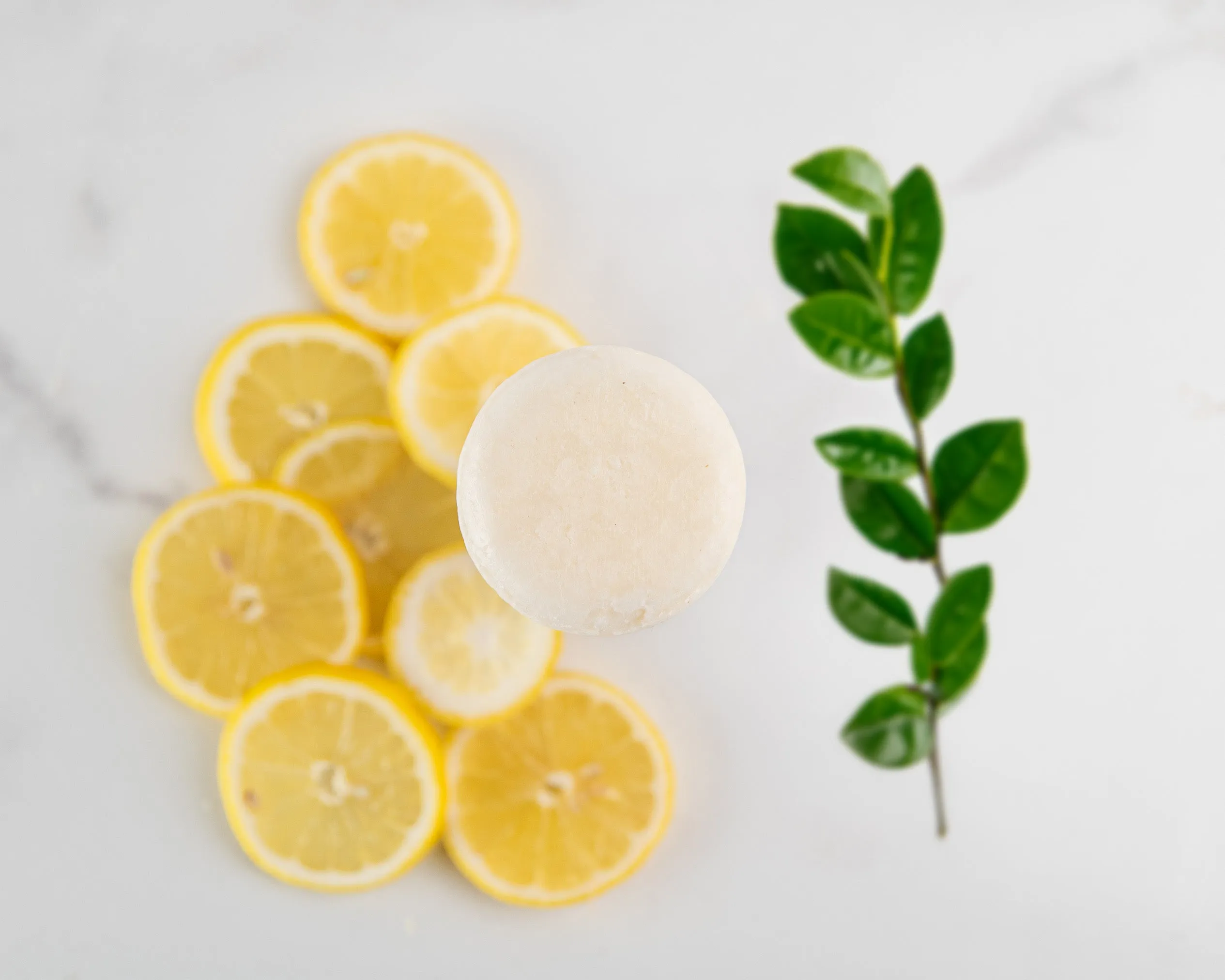 Sulfate-Free Shampoo Bar (Bundle)
