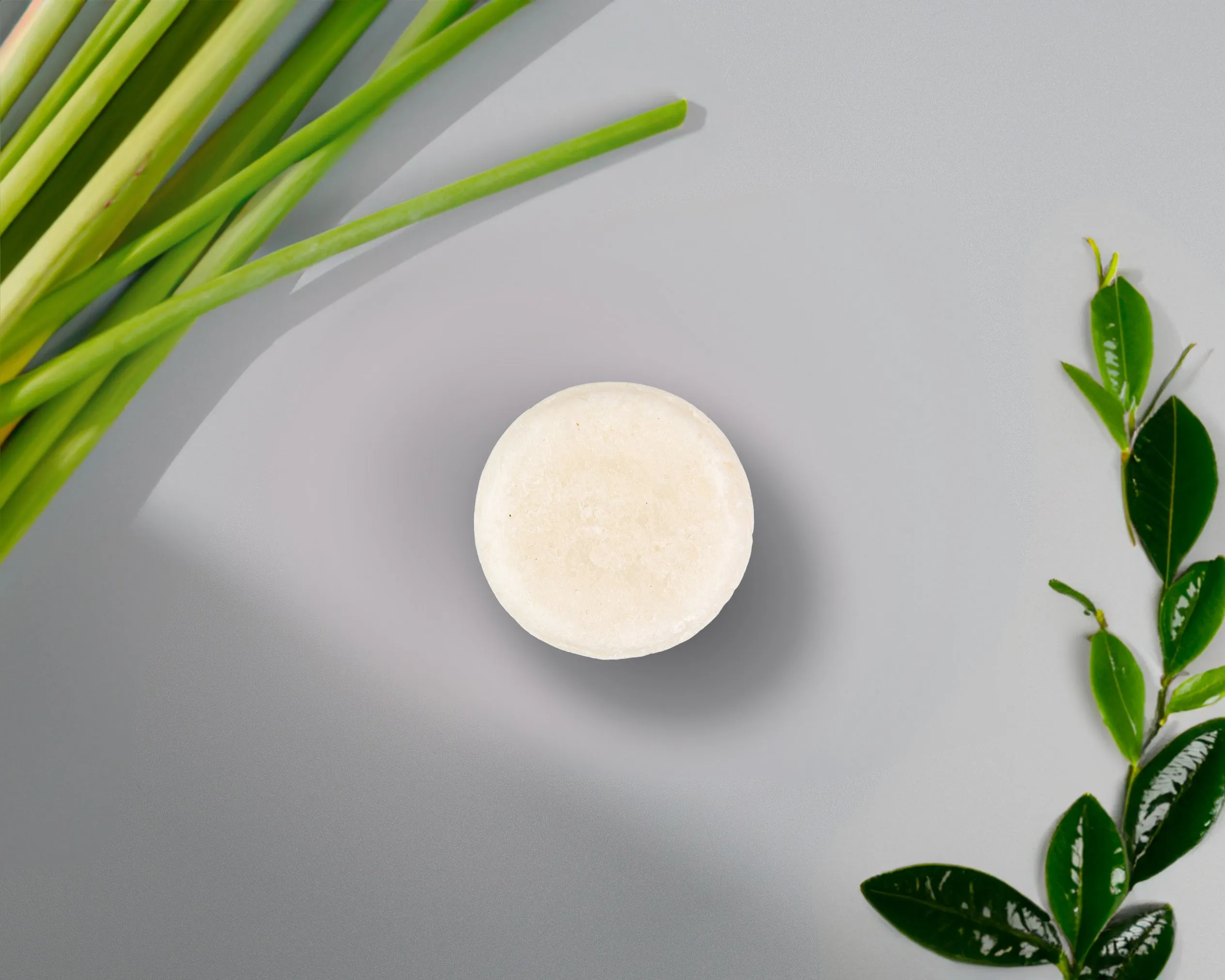 Sulfate-Free Shampoo Bar (Bundle)