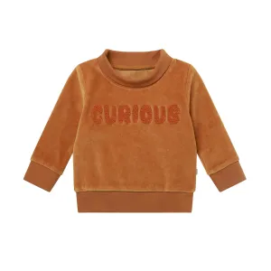 Velour Curious Slogan Sweatshirt